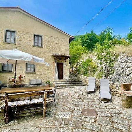 Il Colle - Apartment Pino Florence Ngoại thất bức ảnh